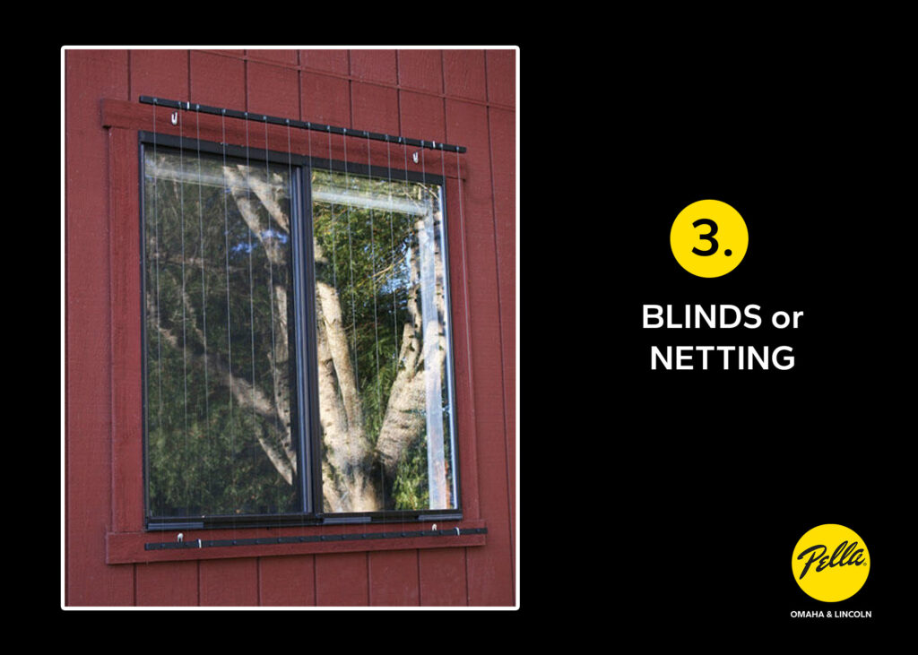 Blinds or Netting