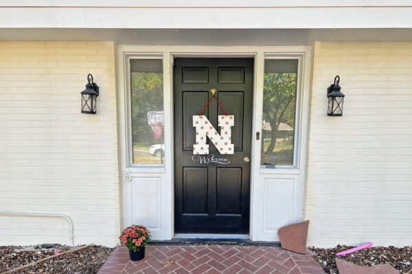 Front Door Before Replacement