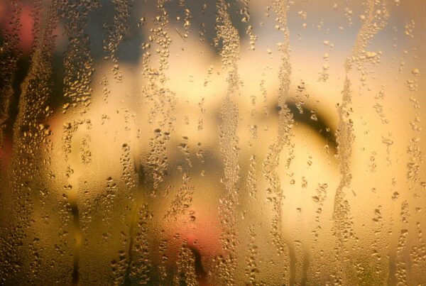 condensation window