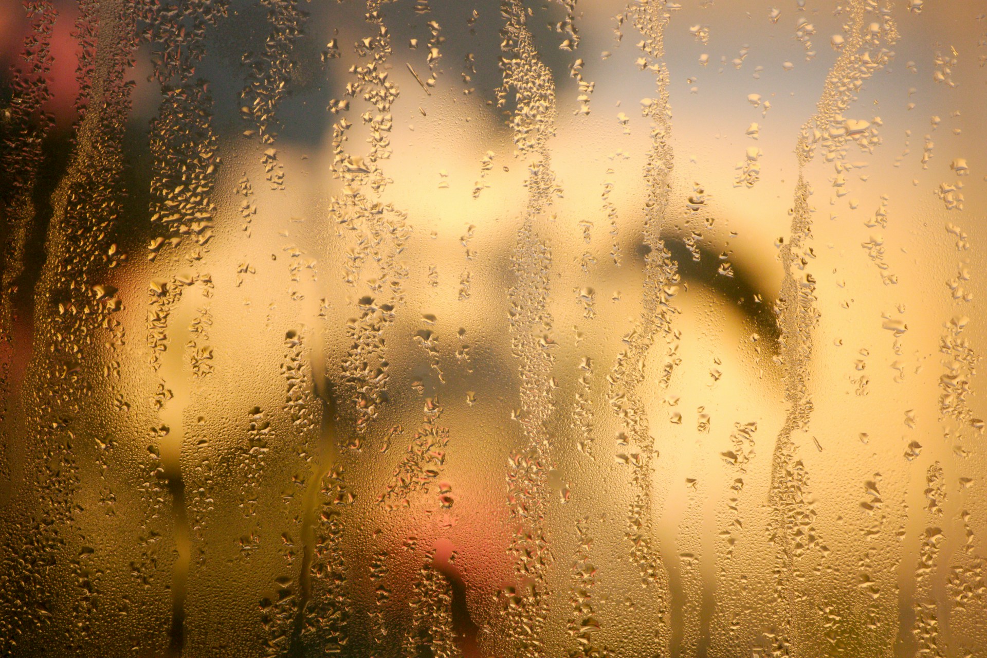 How to Get Rid of Window Condensation